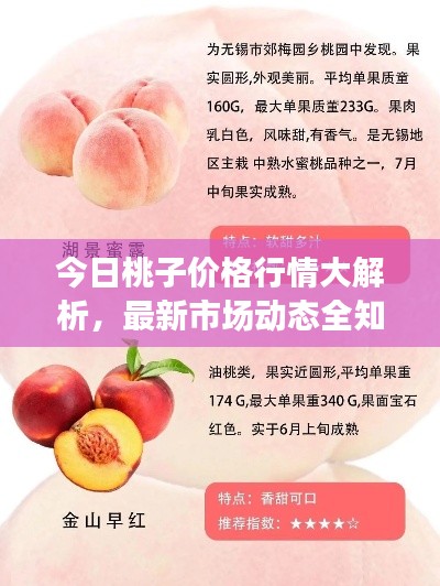今日桃子价格行情大解析，最新市场动态全知道