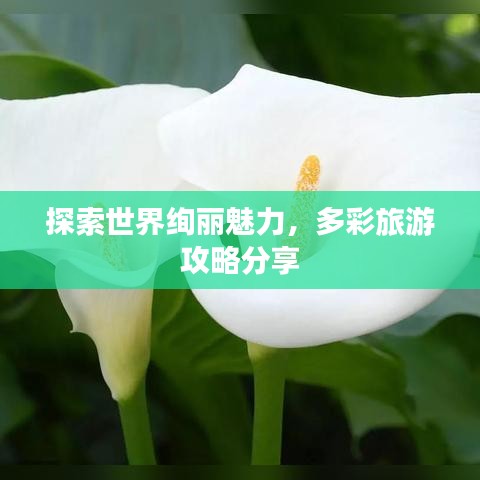 垂头丧气
