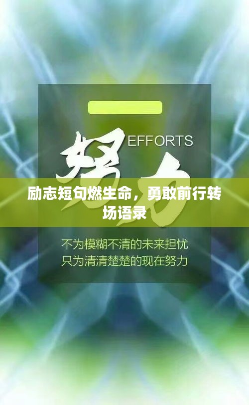 2025年6月13日 第5页