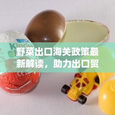 野菜出口海关政策最新解读，助力出口贸易增长的新机遇！