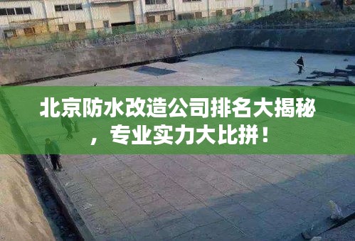2025年6月15日 第3页
