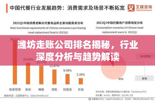 潍坊走账公司排名揭秘，行业深度分析与趋势解读
