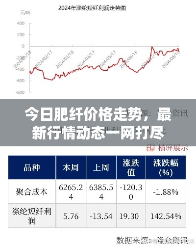 今日肥纤价格走势，最新行情动态一网打尽
