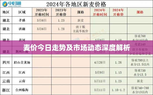 麦价今日走势及市场动态深度解析