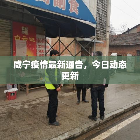 咸宁疫情最新通告，今日动态更新