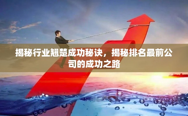 揭秘行业翘楚成功秘诀，揭秘排名最前公司的成功之路