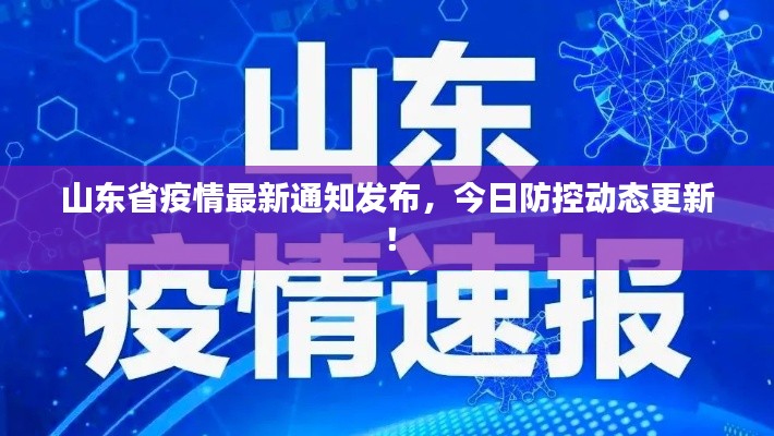 山东省疫情最新通知发布，今日防控动态更新！