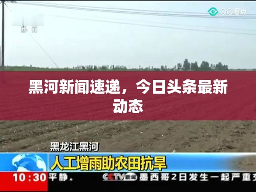 黑河新闻速递，今日头条最新动态