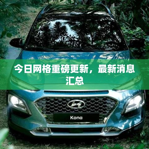 今日网格重磅更新，最新消息汇总