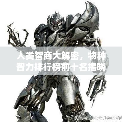 人类智商大解密，物种智力排行榜前十名揭晓！