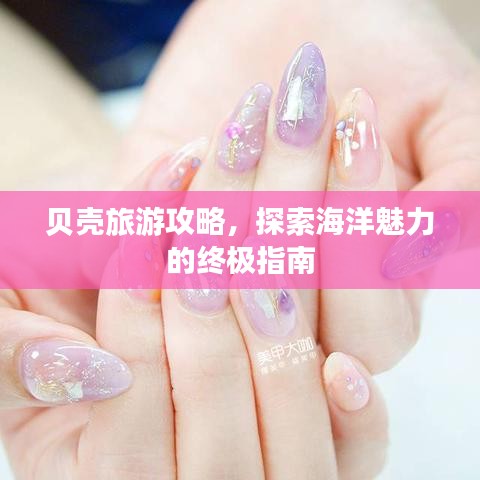 贝壳旅游攻略，探索海洋魅力的终极指南