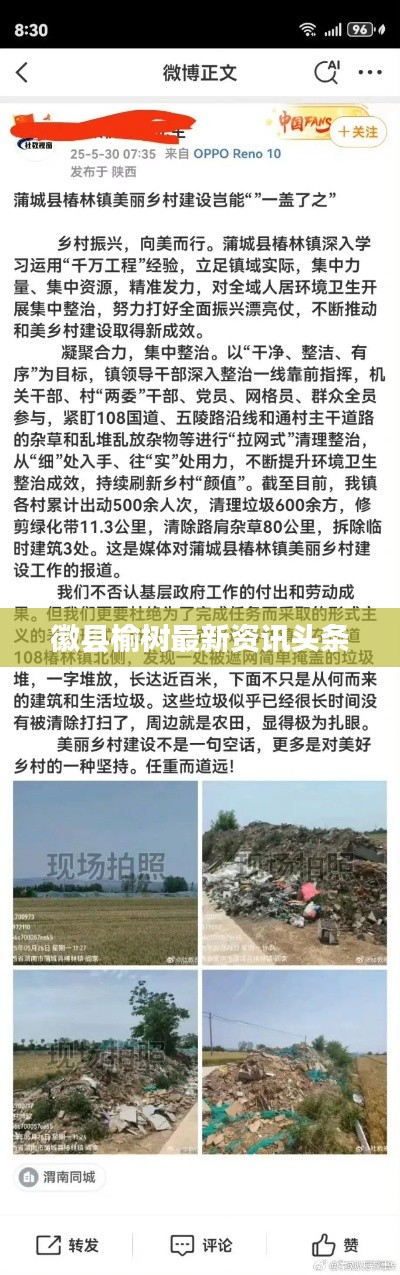 徽县榆树最新资讯头条