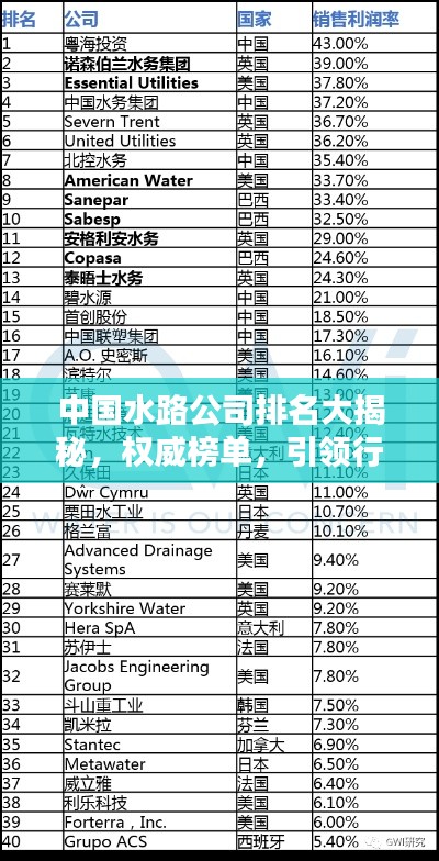 中国水路公司排名大揭秘，权威榜单，引领行业潮流！