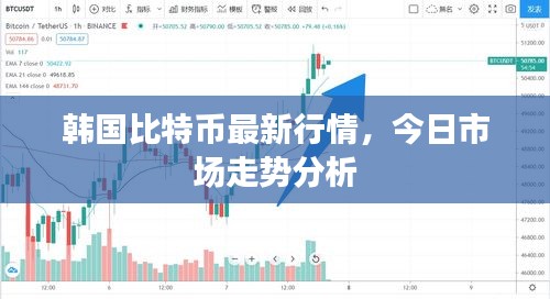 韩国比特币最新行情，今日市场走势分析