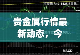 贵金属行情最新动态，今日走势分析与展望
