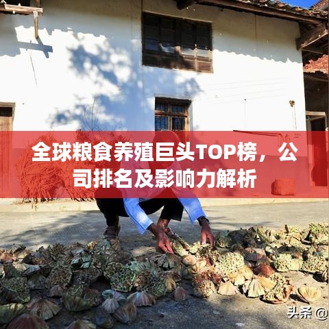 全球粮食养殖巨头TOP榜，公司排名及影响力解析