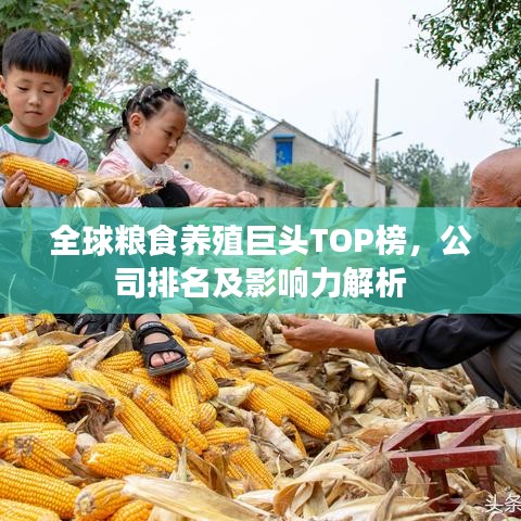 全球粮食养殖巨头TOP榜,公司排名及影响力解析