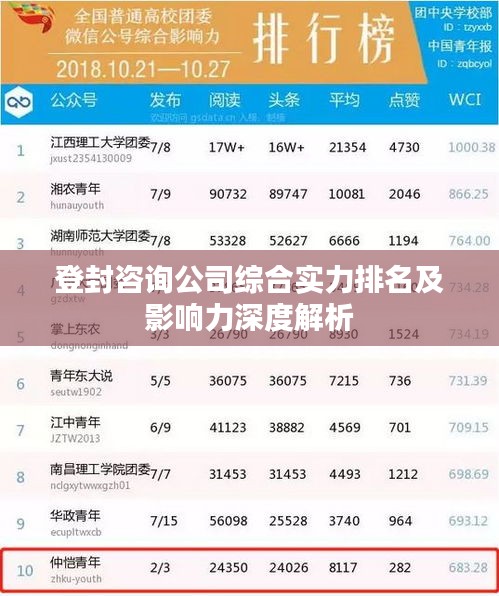 登封咨询公司综合实力排名及影响力深度解析