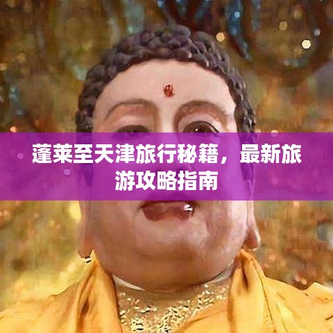 蓬莱至天津旅行秘籍，最新旅游攻略指南