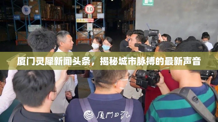 厦门灵犀新闻头条,揭秘城市脉搏的最新声音