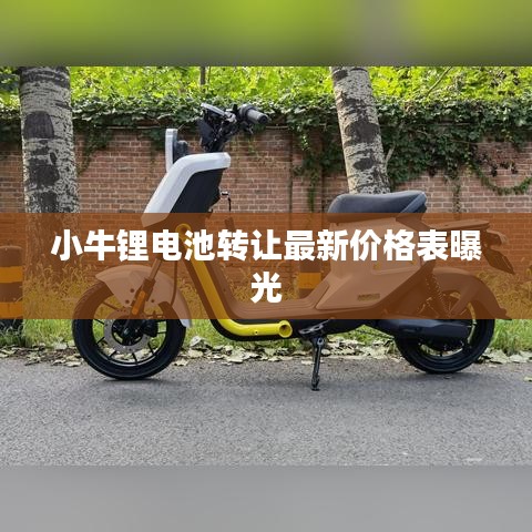 小牛锂电池转让最新价格表曝光