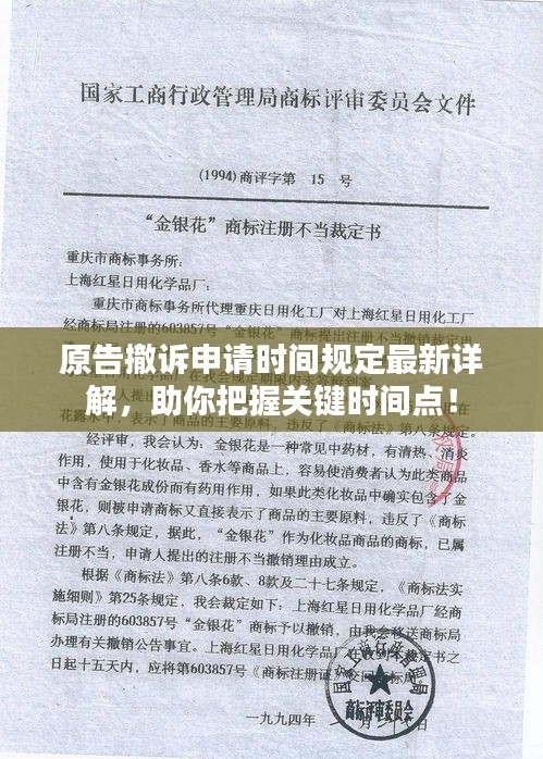 原告撤诉申请时间规定最新详解,助你把握关键时间点!