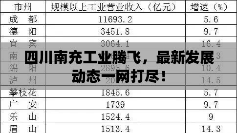 四川南充工业腾飞,最新发展动态一网打尽!