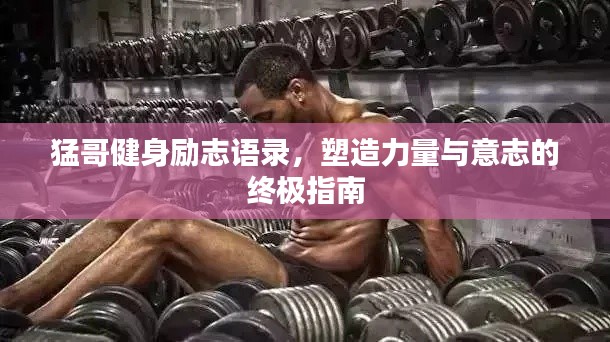 猛哥健身励志语录,塑造力量与意志的终极指南