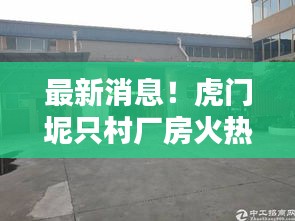 最新消息!虎门坭只村厂房火热出售中!