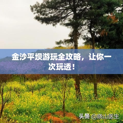 金沙平坝游玩全攻略,让你一次玩透!
