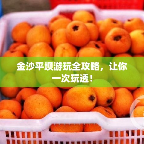 金沙平坝游玩全攻略,让你一次玩透!