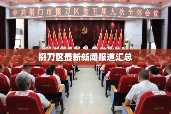 掇刀区最新新闻报道汇总