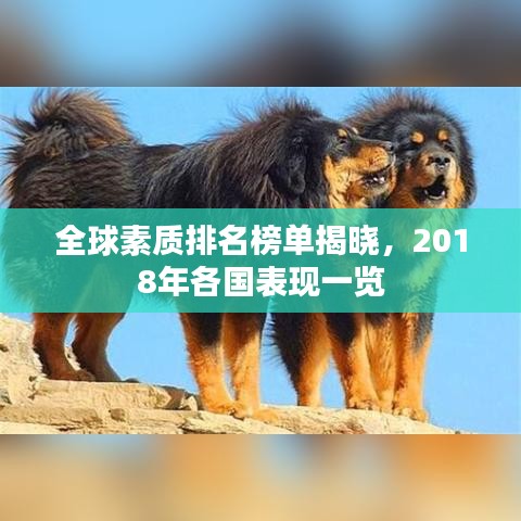全球素质排名榜单揭晓,2018年各国表现一览