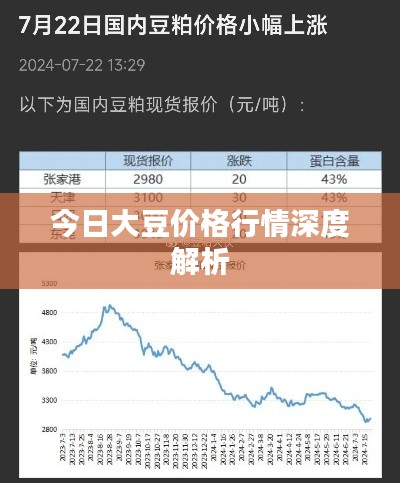 今日大豆价格行情深度解析