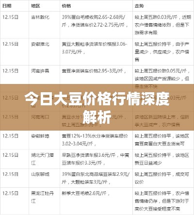 今日大豆价格行情深度解析