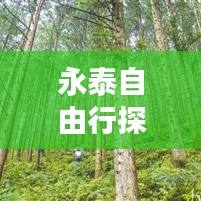 永泰自由行探索之旅攻略大全