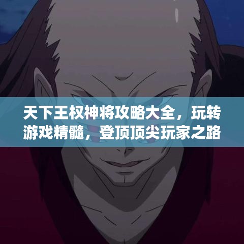 天下王权神将攻略大全，玩转游戏精髓，登顶顶尖玩家之路