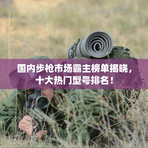 国内步枪市场霸主榜单揭晓,十大热门型号排名!