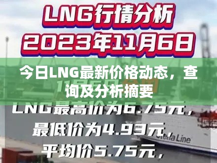 今日LNG最新价格动态,查询及分析摘要