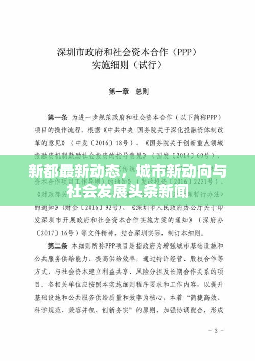 新都最新动态，城市新动向与社会发展头条新闻