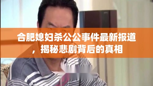 合肥媳妇杀公公事件最新报道,揭秘悲剧背后的真相