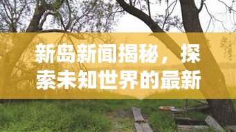 新岛新闻揭秘,探索未知世界的最新动态
