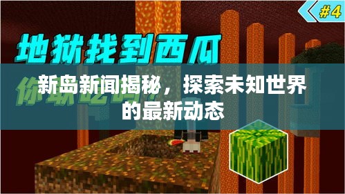 新岛新闻揭秘,探索未知世界的最新动态