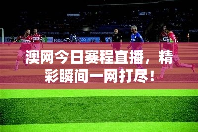 澳网今日赛程直播,精彩瞬间一网打尽!