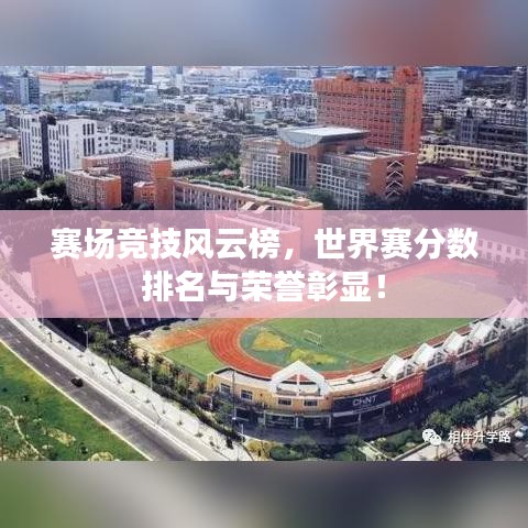 赛场竞技风云榜,世界赛分数排名与荣誉彰显!