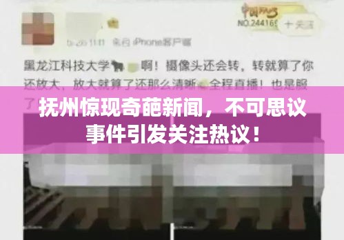 抚州惊现奇葩新闻,不可思议事件引发关注热议!