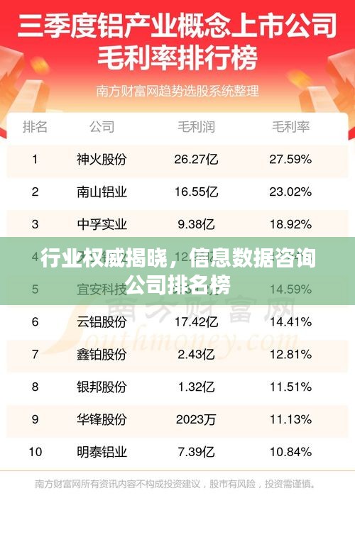 行业权威揭晓,信息数据咨询公司排名榜