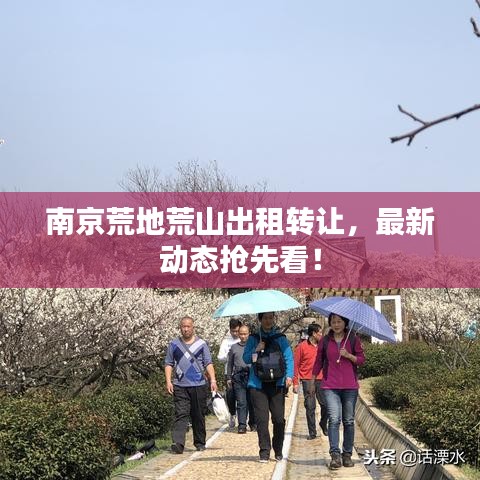 南京荒地荒山出租转让，最新动态抢先看！