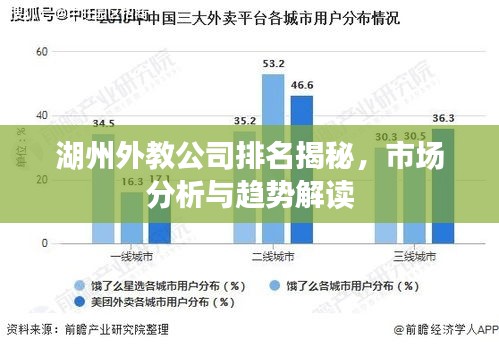 湖州外教公司排名揭秘，市场分析与趋势解读