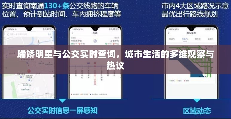 瑞娇明星与公交实时查询,城市生活的多维观察与热议